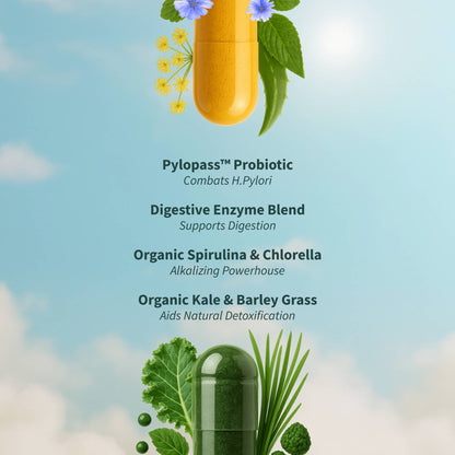 Gut Health Bundle